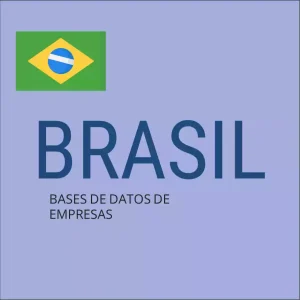 Base de datos de empresas en Brasil